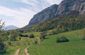 chartreuse